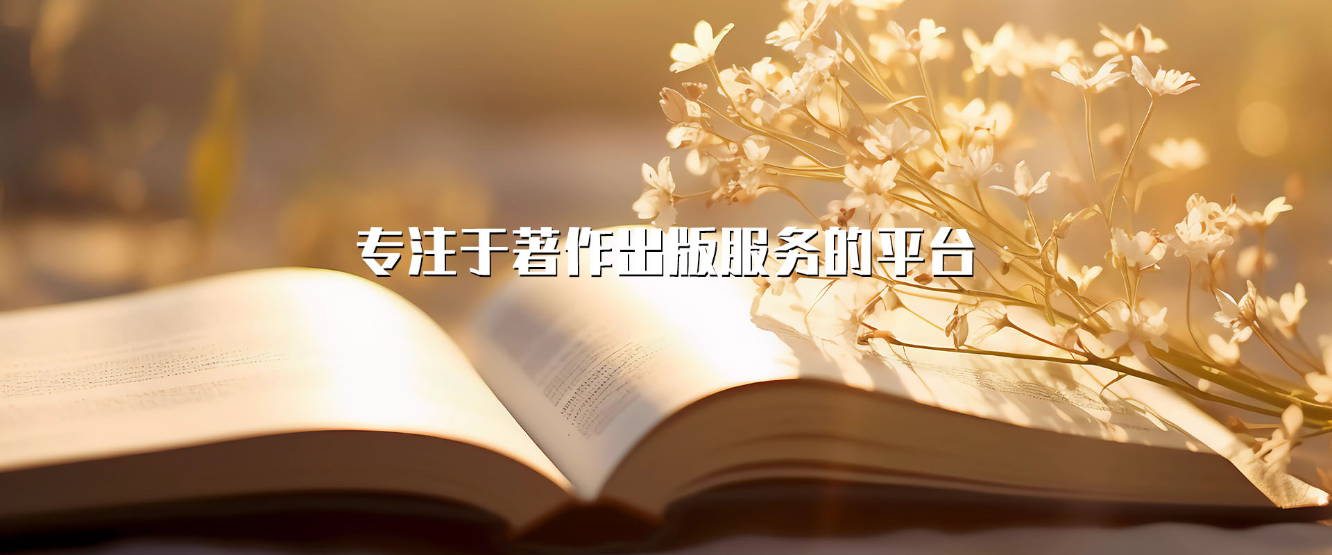 通栏图片